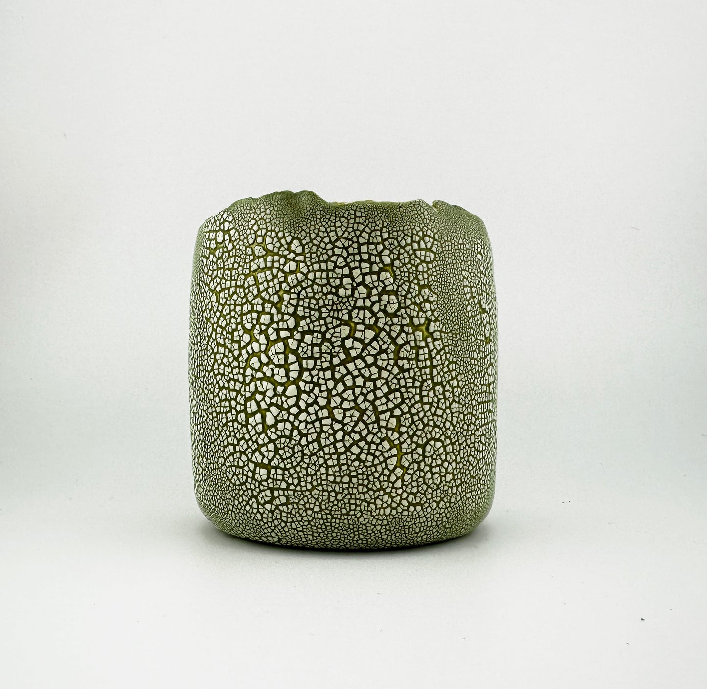 Dinosaur Egg Vase