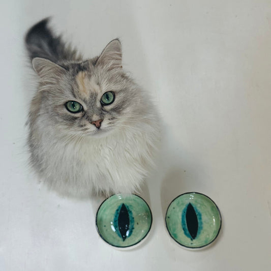 Pair of Cat Eye Bowls (made to order)