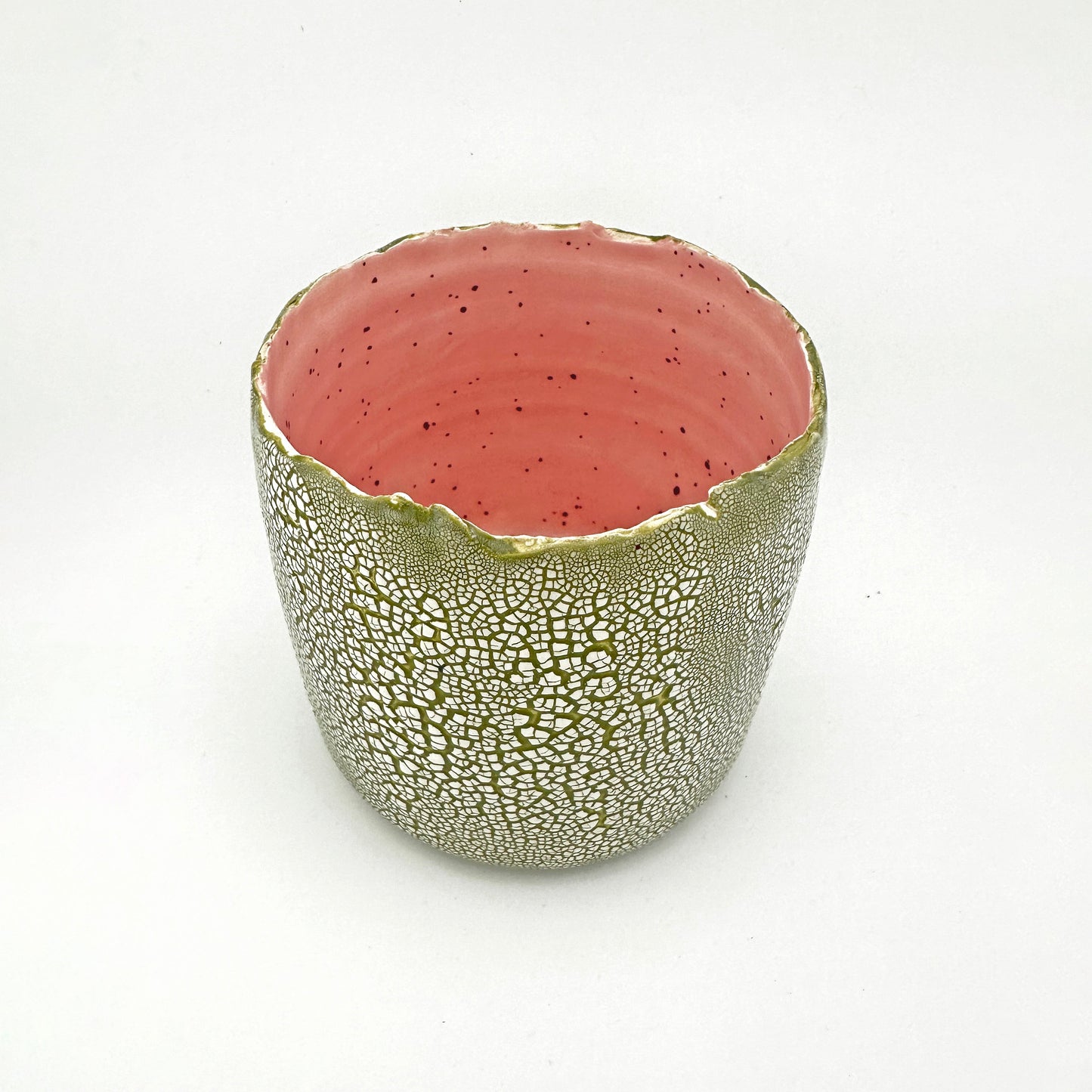 Dinosaur Egg Vase