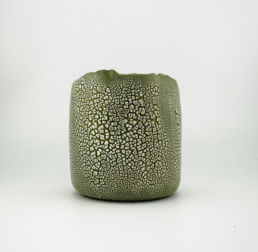 Dinosaur Egg Vase