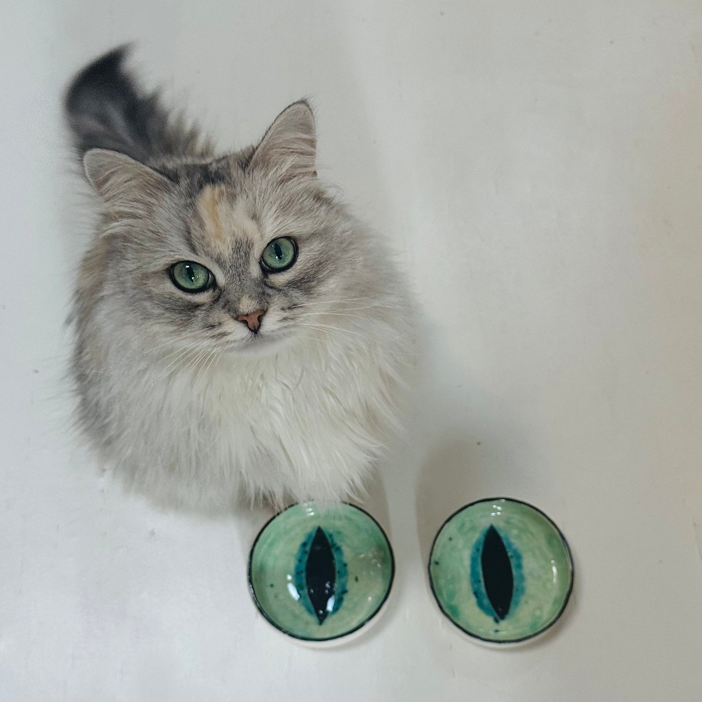 Cat Eye Bowls (Pair)