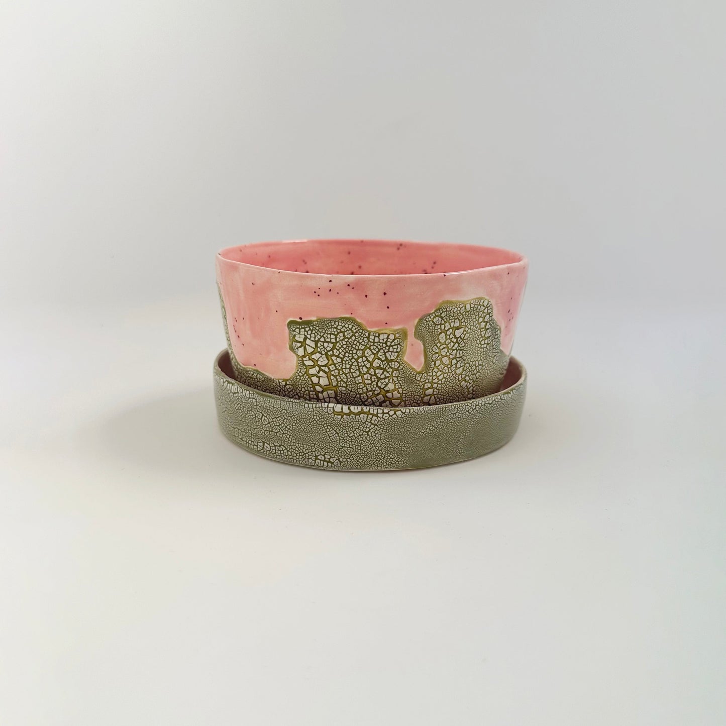 Dinosaur Egg Planter