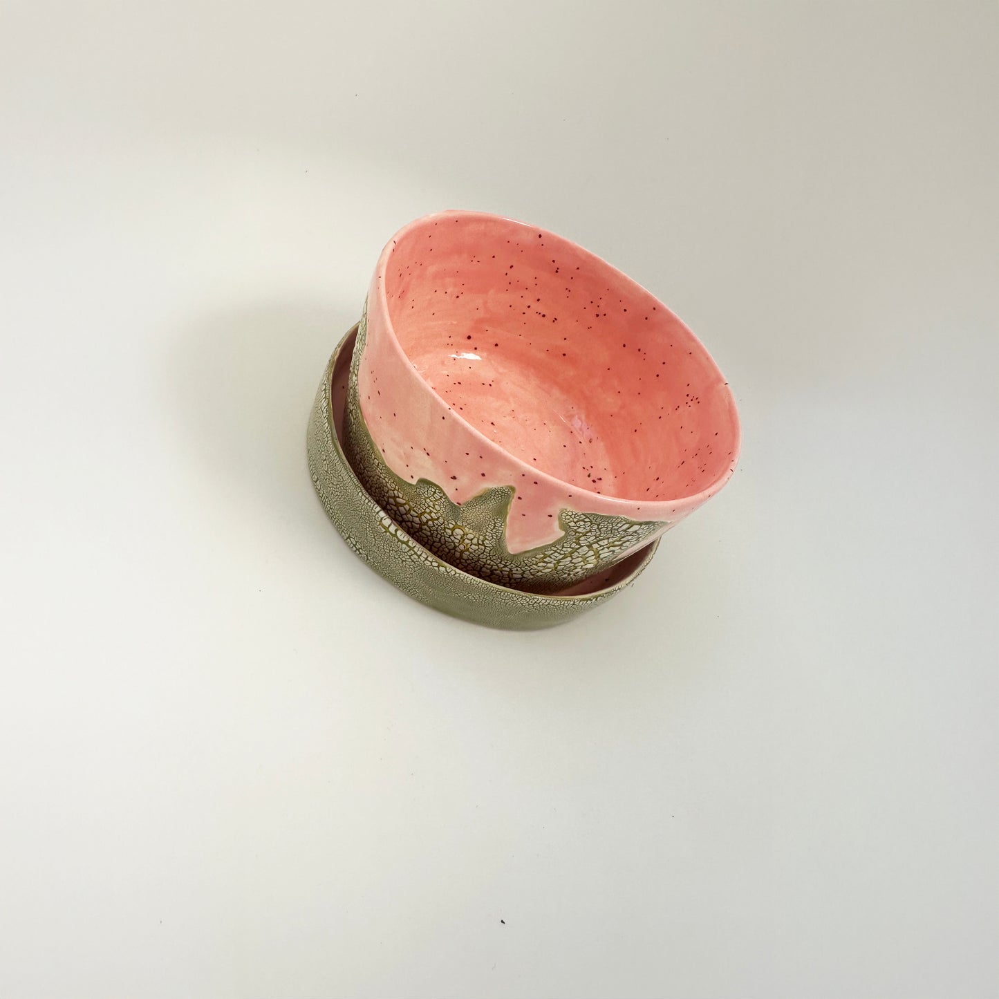 Dinosaur Egg Planter