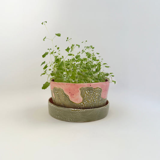 Dinosaur Egg Planter