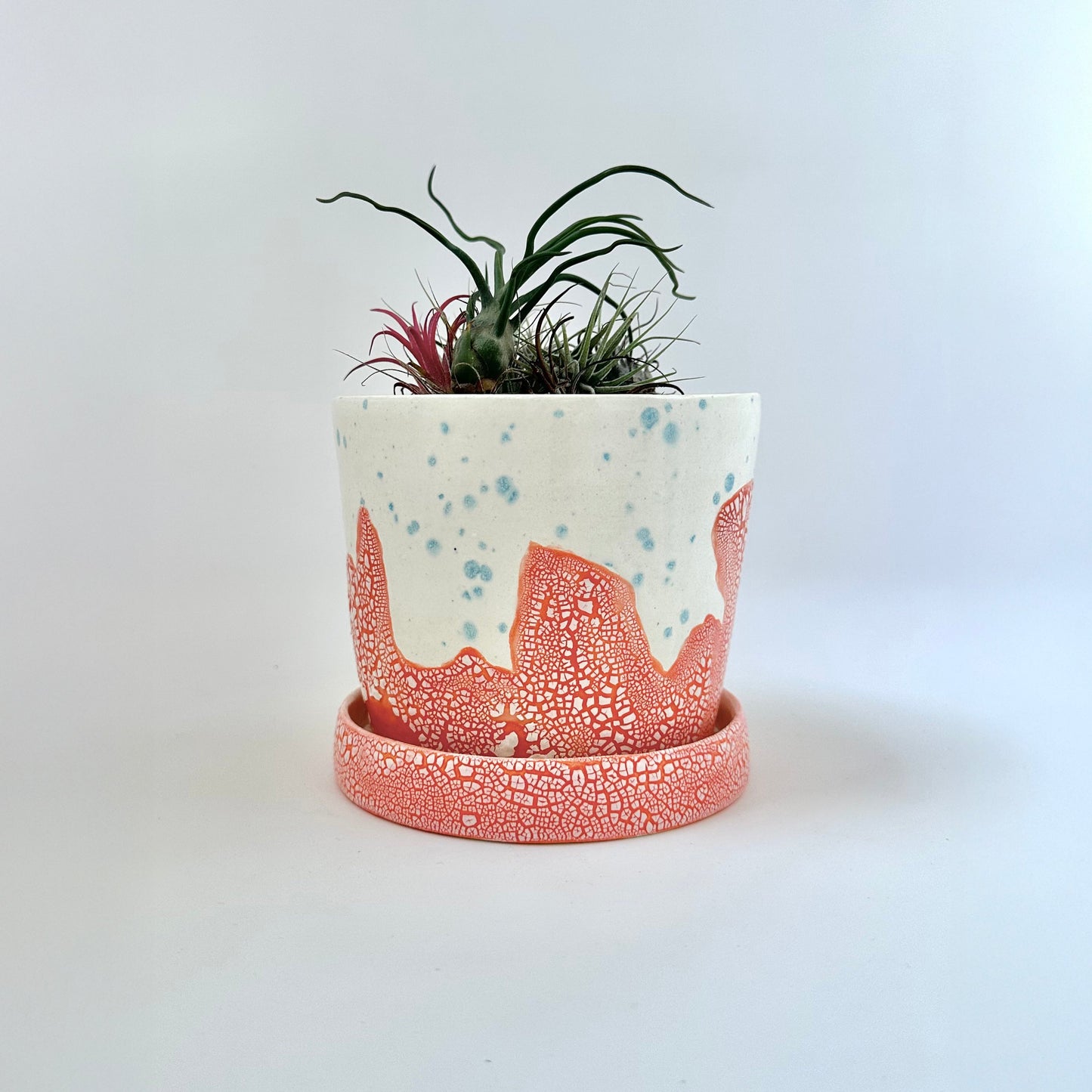 Surf Coast Planter