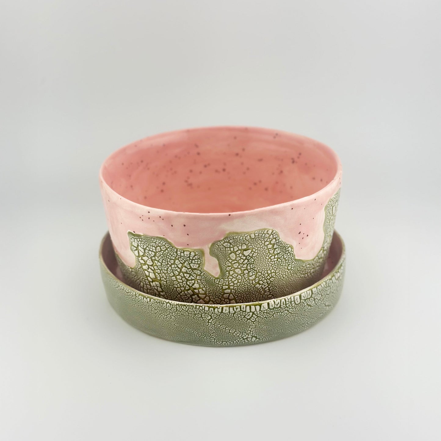 Dinosaur Egg Planter
